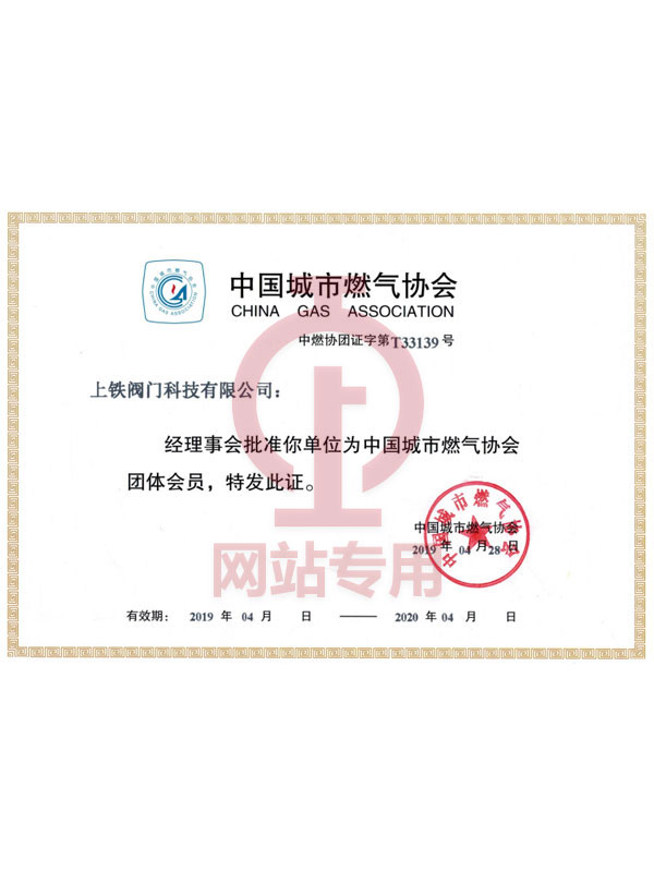 中國城市燃氣協會